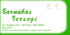 barnabas versegi business card