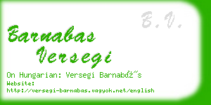 barnabas versegi business card
